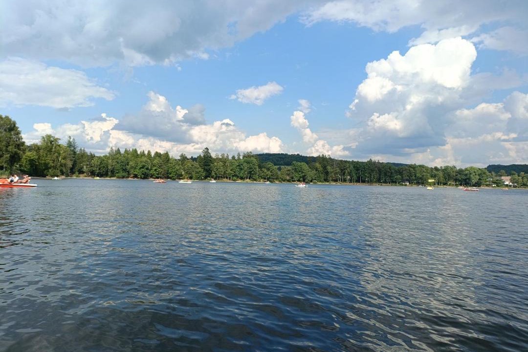 Photo of Others in Saint-Germain-de-Modeon