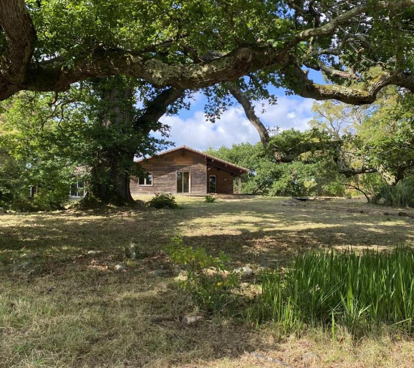 Photo of Others in Messanges