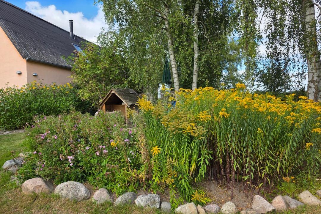 Photo of Others in Hillerod