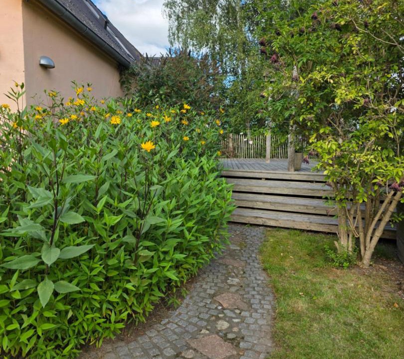 Photo of Others in Hillerod