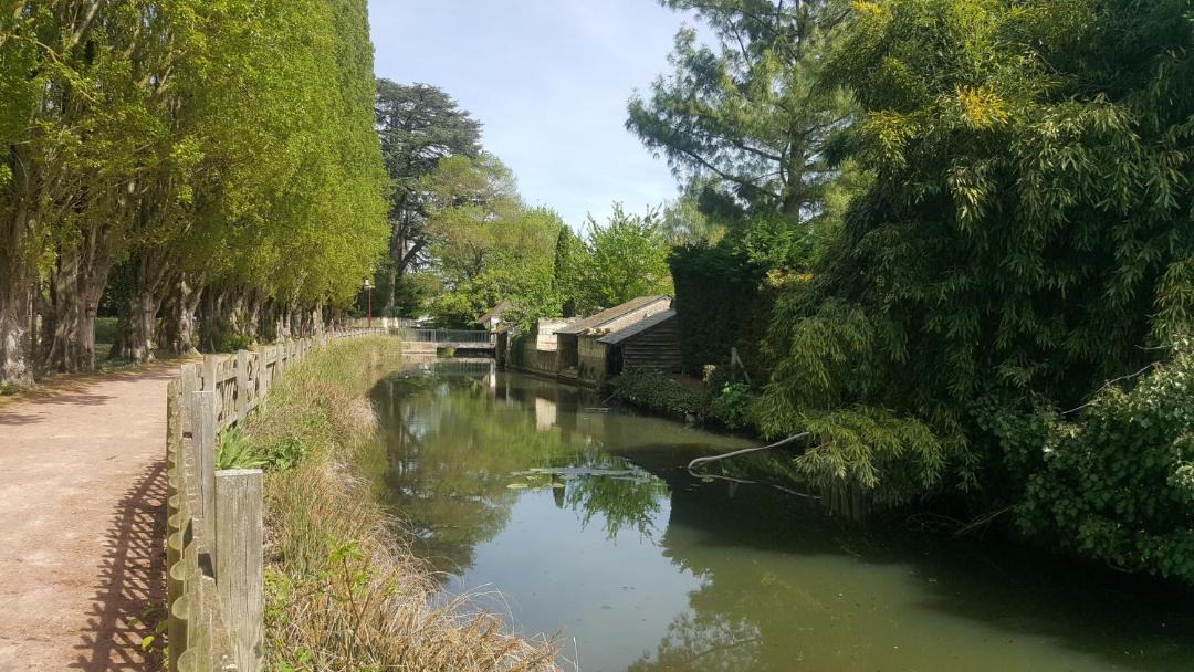 Photo of Others in Longue-Jumelles