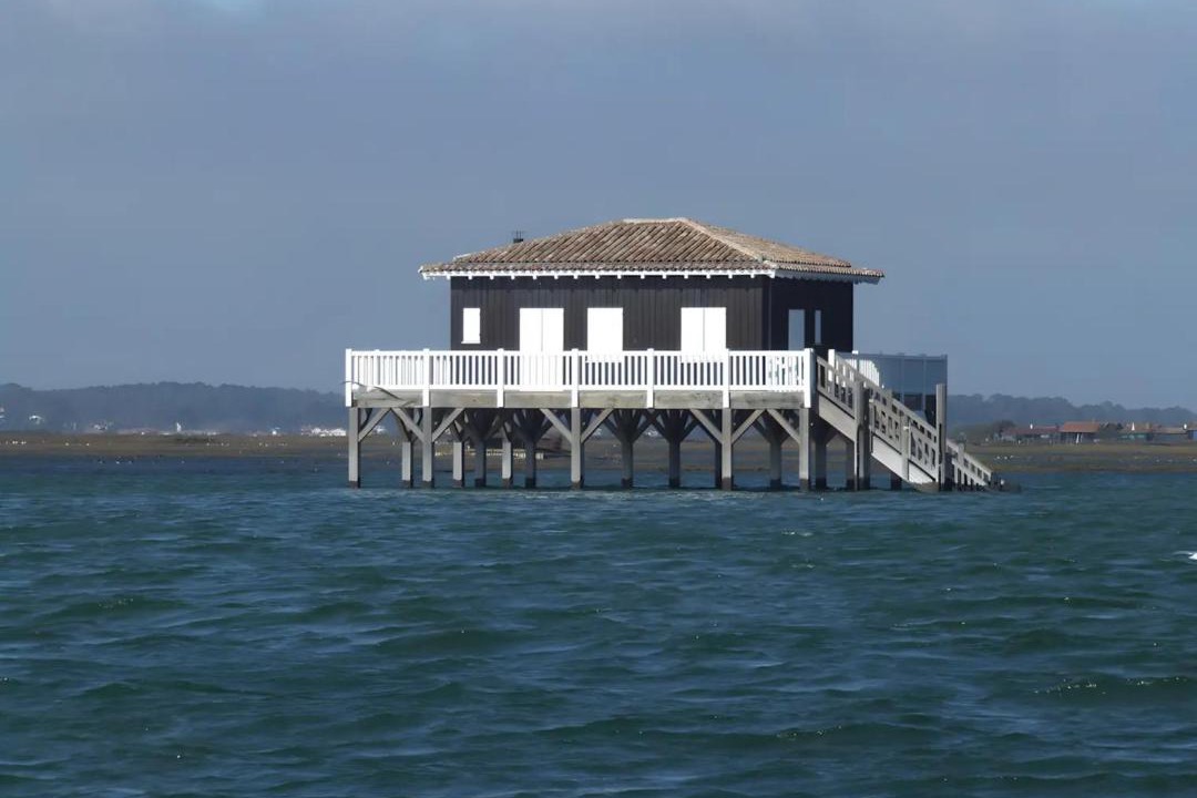 Photo of Others in Blanquefort