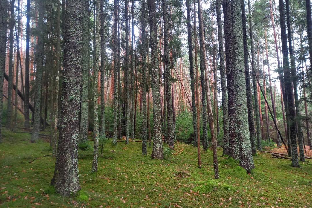 Photo of Others in Le Saillant