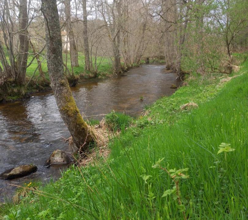 Photo of Others in Le Saillant