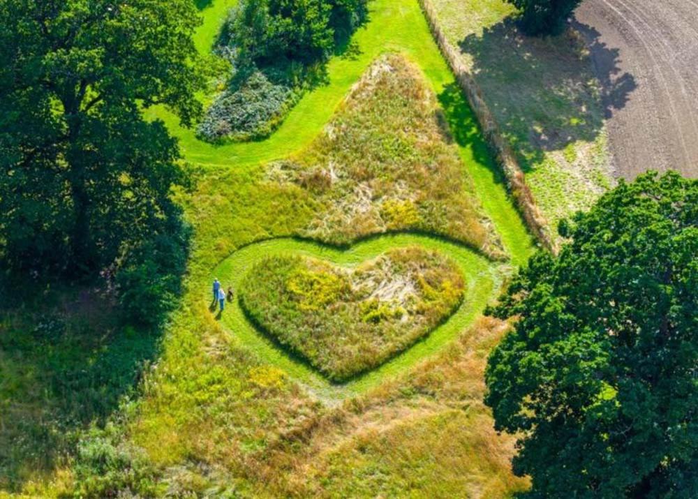 Photo of Others in Tonbridge