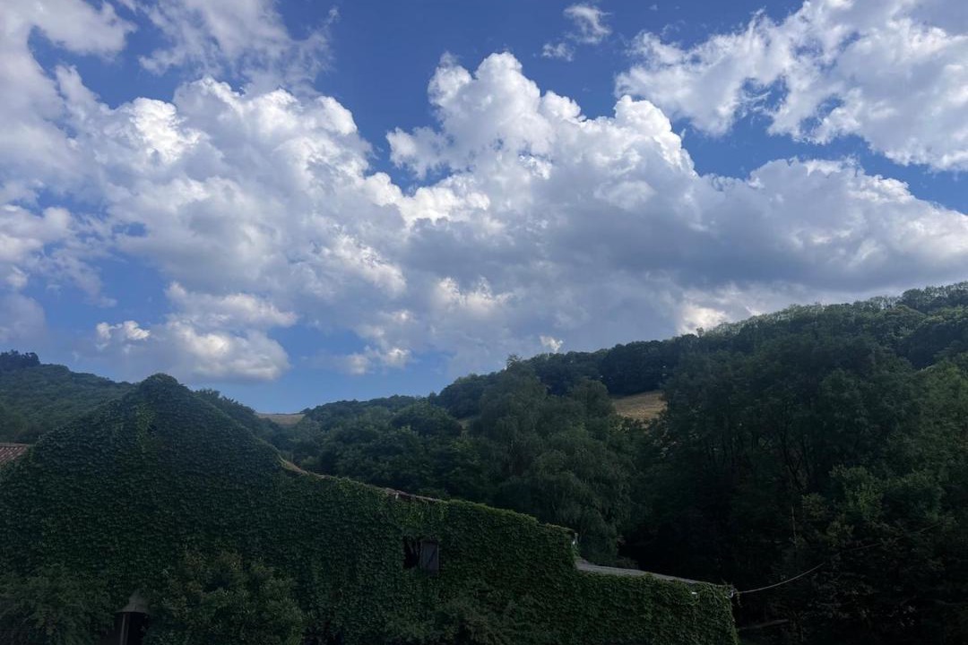 Photo of Others in Sylvanes