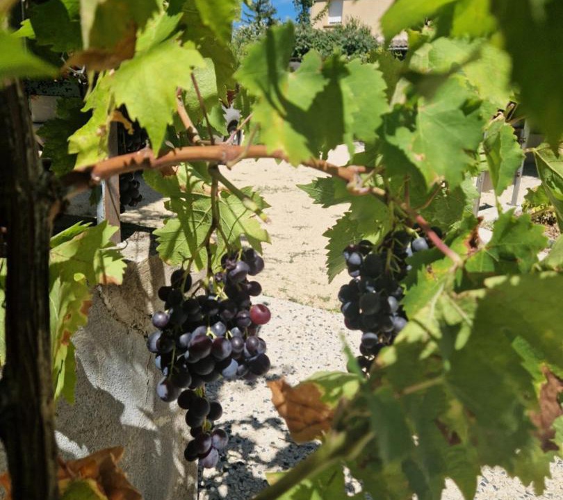 Photo of Others in Peyrus