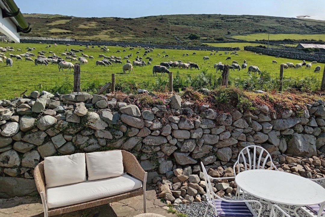 Photo of Others in Barmouth