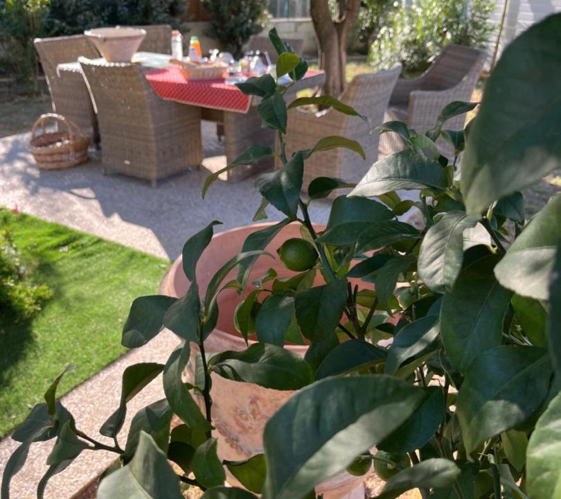 Photo of Others in Boisseron