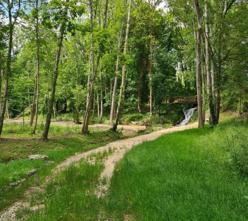 Photo of Others in Saint-Bohaire