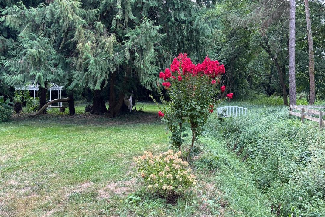 Photo of Others in Nazelles-Negron