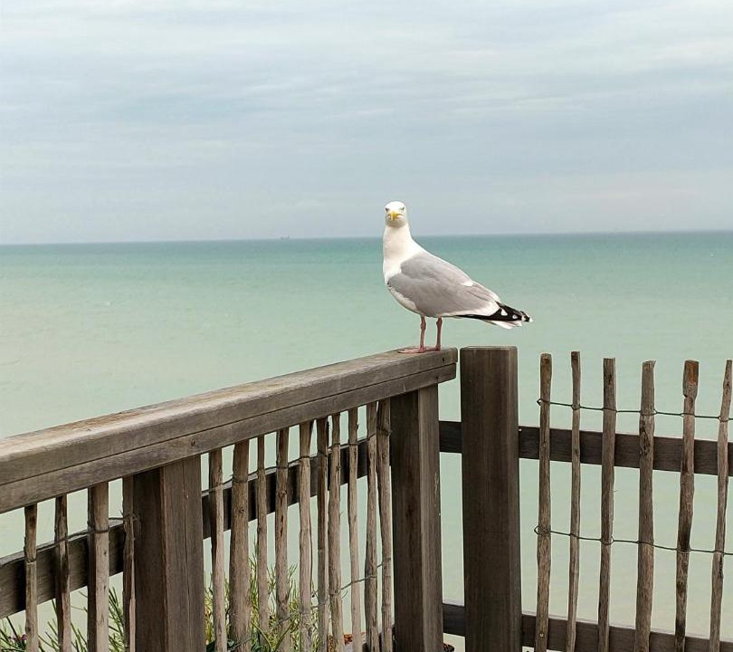 Photo of Others in Ault