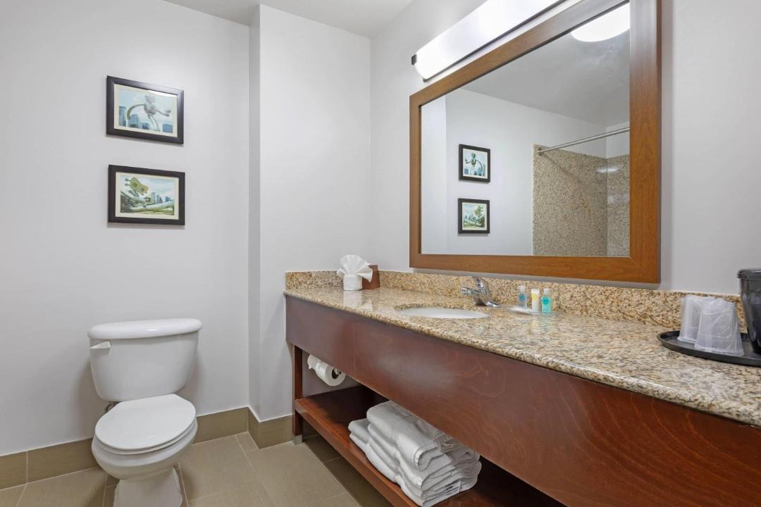 Photo of Bathroom in Grapevine