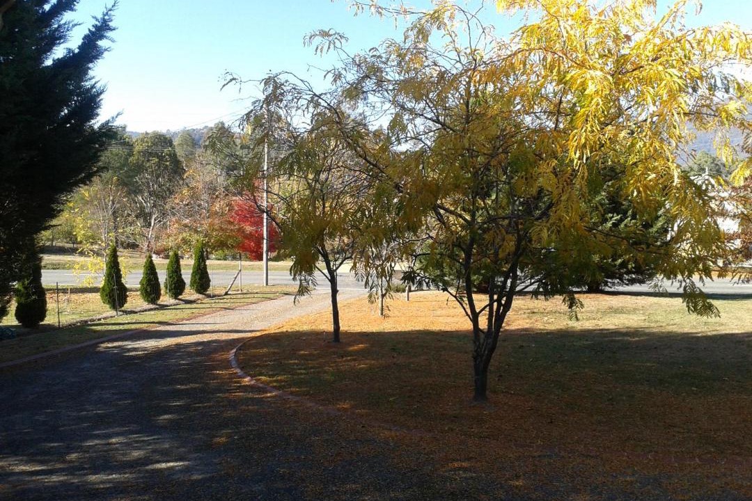 Photo of Others in Eildon