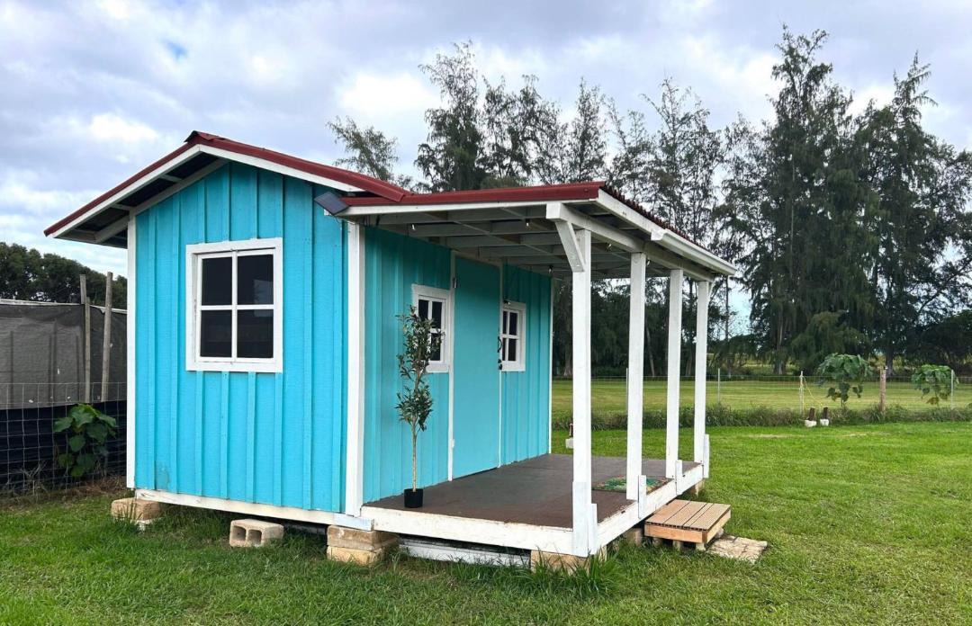 Photo of Others in Laie