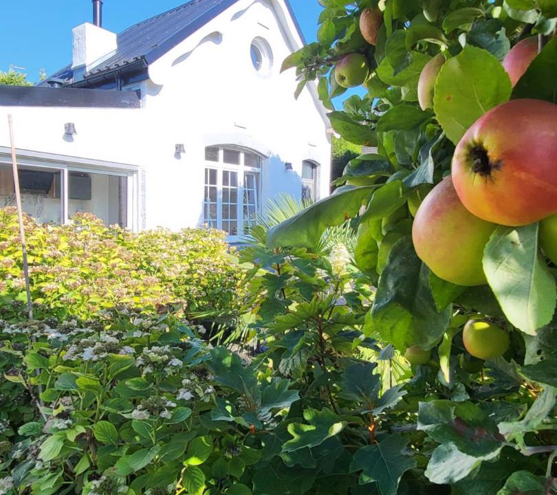 Photo of Others in Rosendael