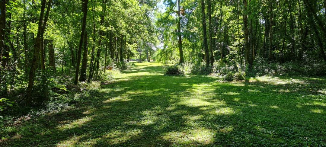 Photo of Outdoor in Saint-Florentin