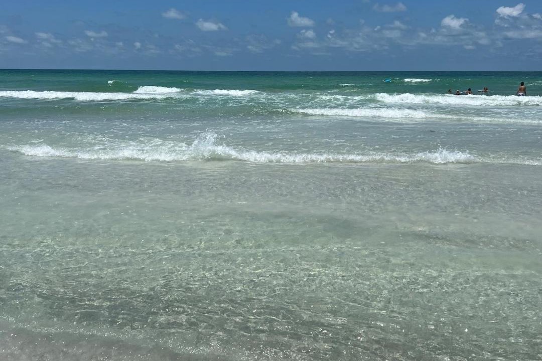 Photo of Others in Indian Rocks Beach
