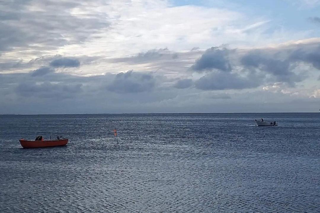 Photo of Others in Læsø