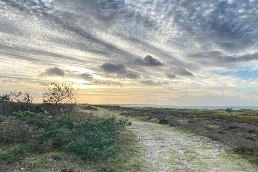 Photo of Others in Læsø