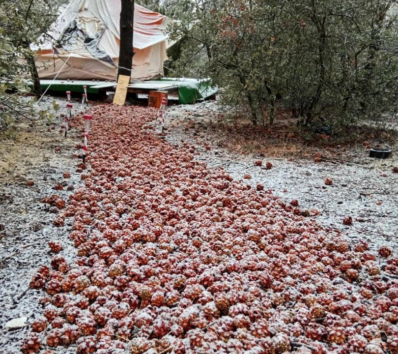 Photo of Others in Tecate Municipality