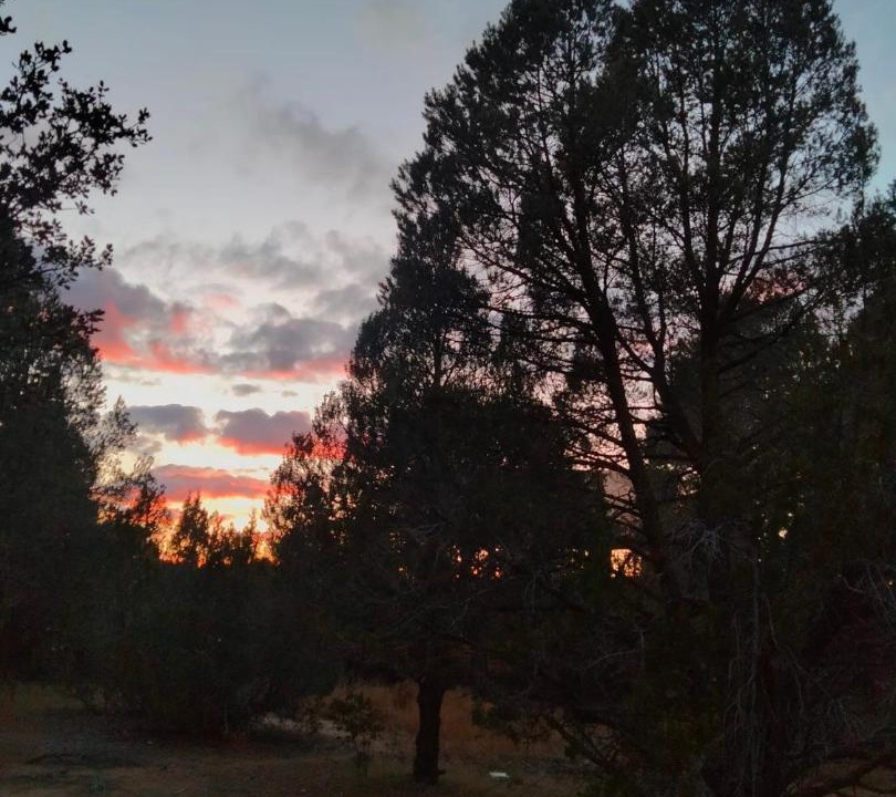 Photo of Others in Tecate Municipality