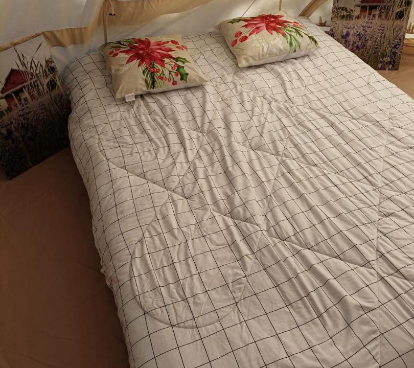 Photo of Others in Tecate Municipality