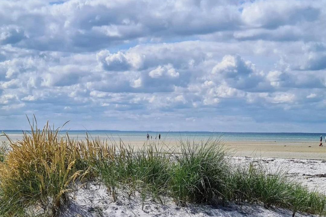 Photo of Others in Bønnerup Strand