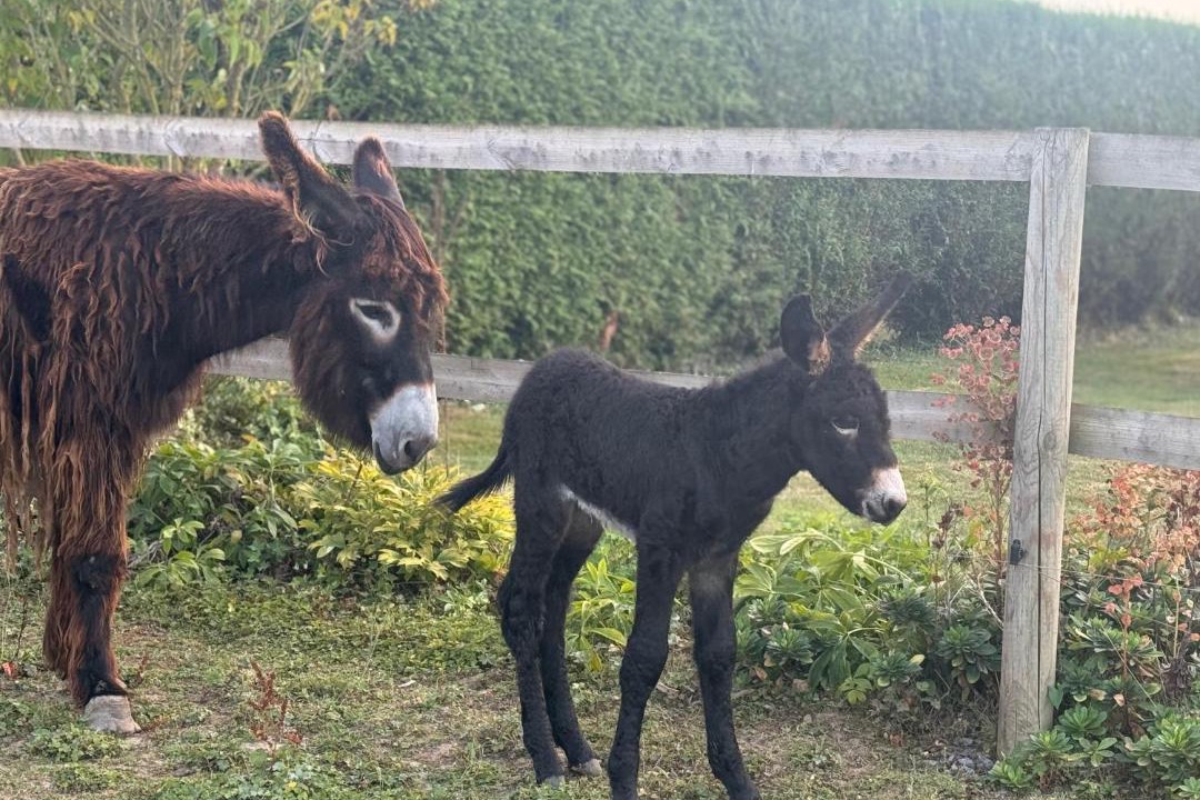 Photo of Others in Macquigny