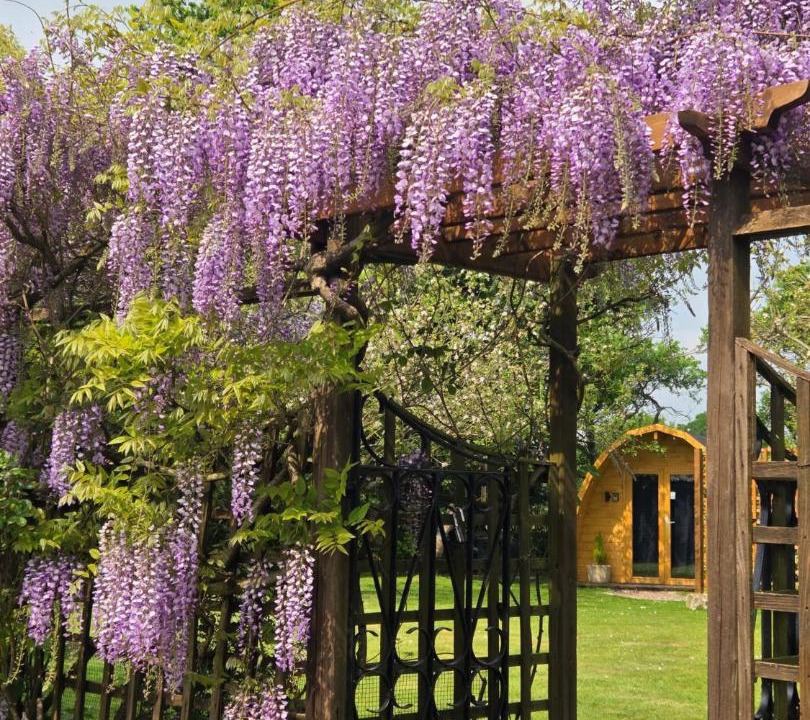 Photo of Others in Coleshill