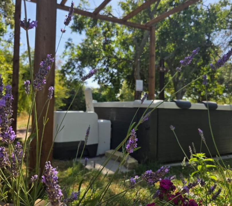 Photo of Others in Coleshill