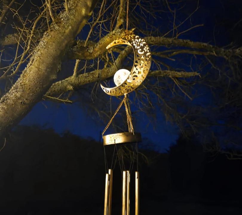 Photo of Others in Coleshill