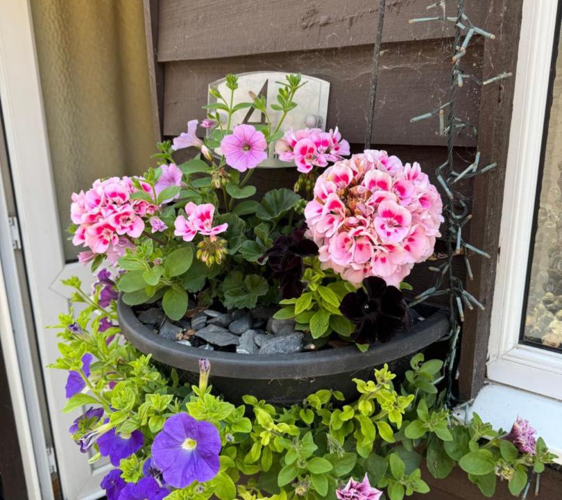 Photo of Others in South Newton