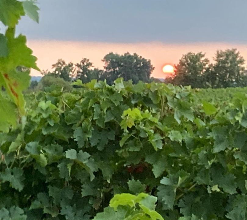 Photo of Others in Blasimon