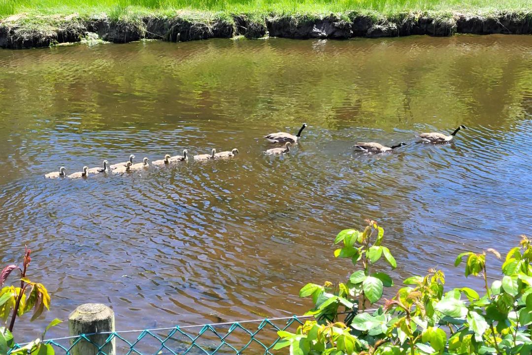 Photo of Others in Birch Bay