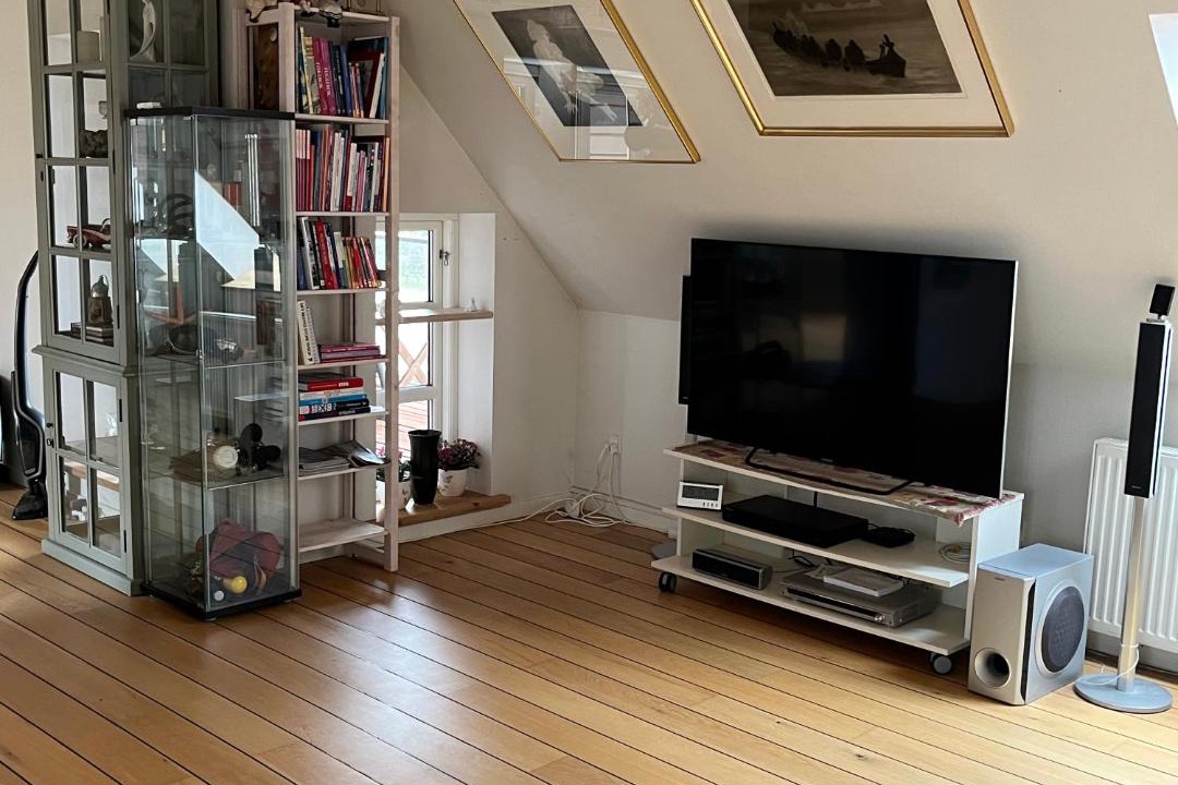 Photo of Livingroom in Bækmarksbro