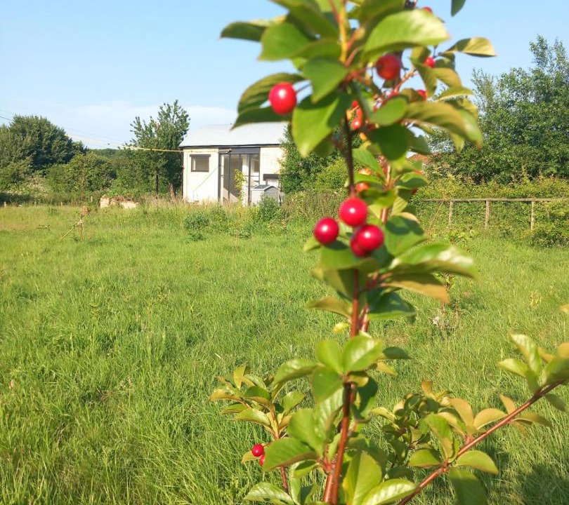 Photo of Others in Boughton Monchelsea