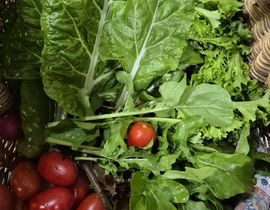 Photo of Others in Millthorpe