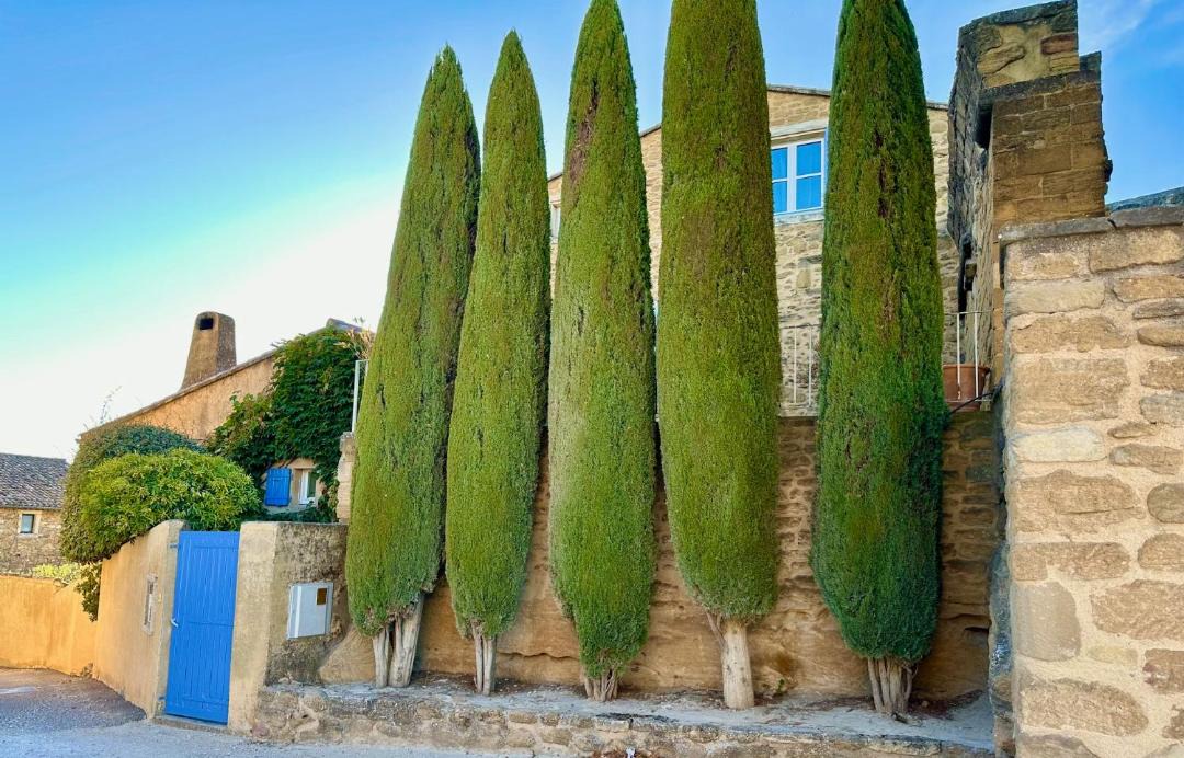 Photo of Others in Grillon