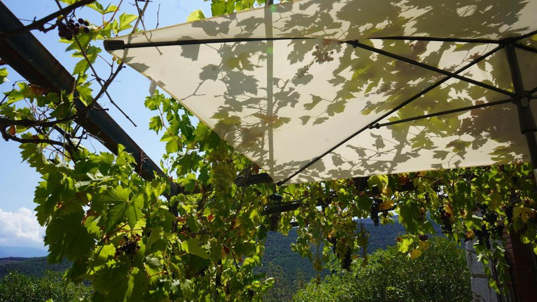 Photo of Others in Mosset