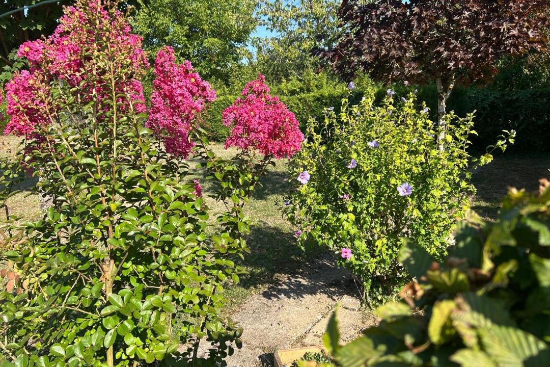 Photo of Others in Chateauroux