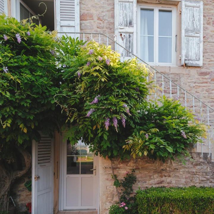 Photo of Others in Saint-Amour-Bellevue