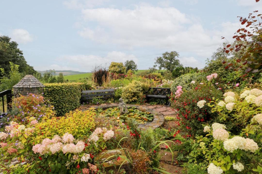 Photo of Others in Maybole