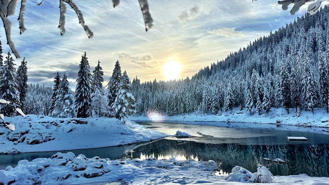 Photo of Others in Waldhaus Flims