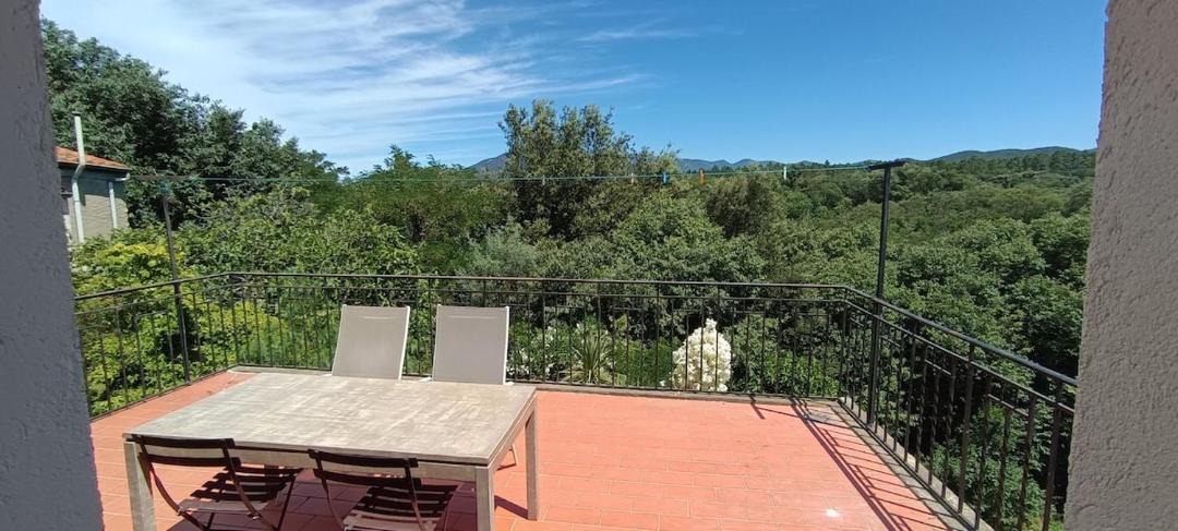 Photo of Patio Balcony in Saint-Jean-Pla-de-Corts