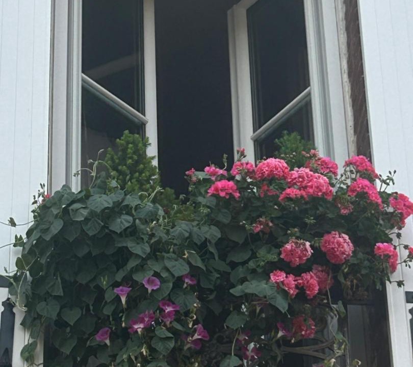 Photo of Others in Ivry-la-Bataille