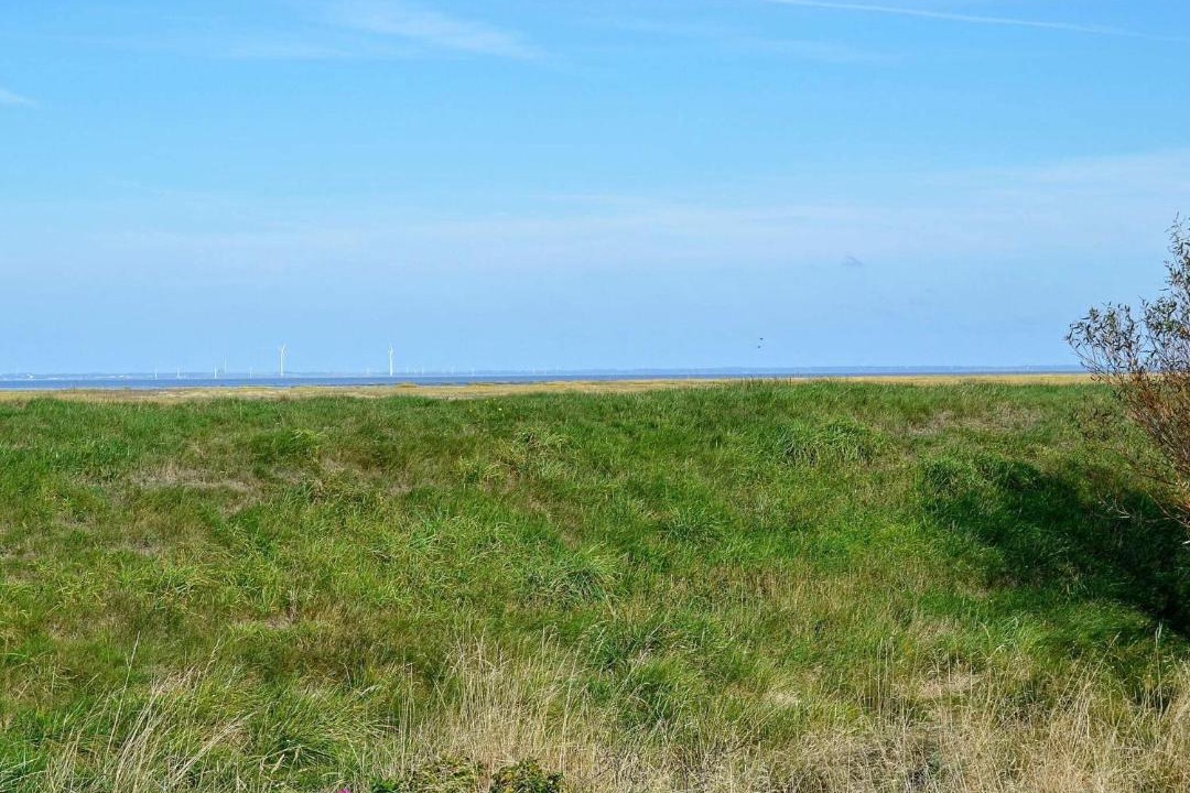 Photo of Others in Sønderho