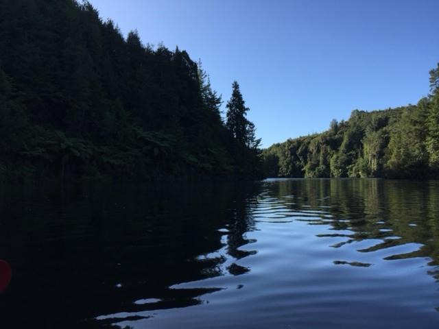 Photo of Others in Omanawa