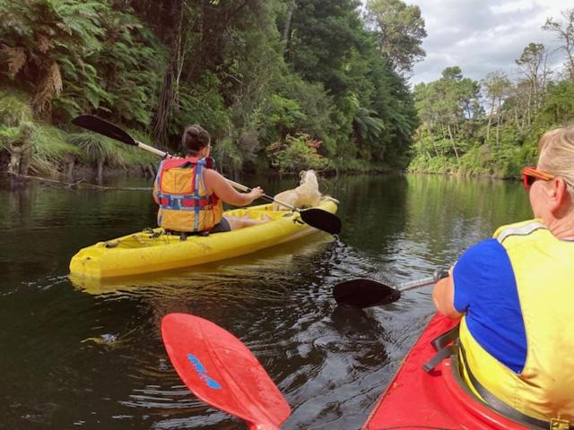 Photo of Others in Omanawa