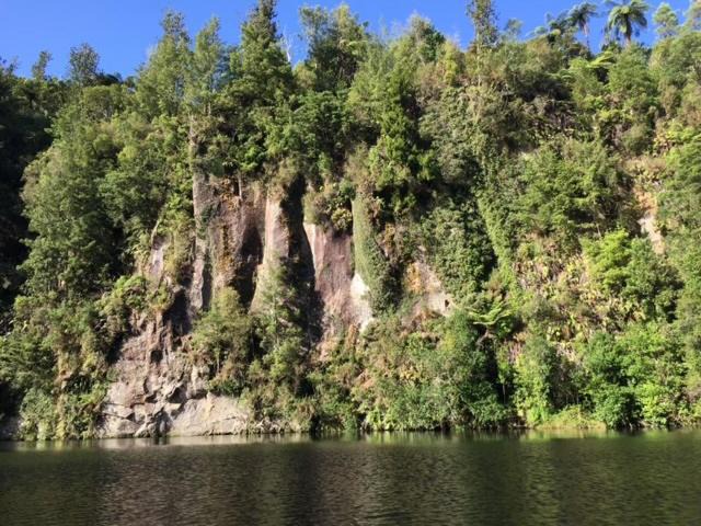 Photo of Others in Omanawa